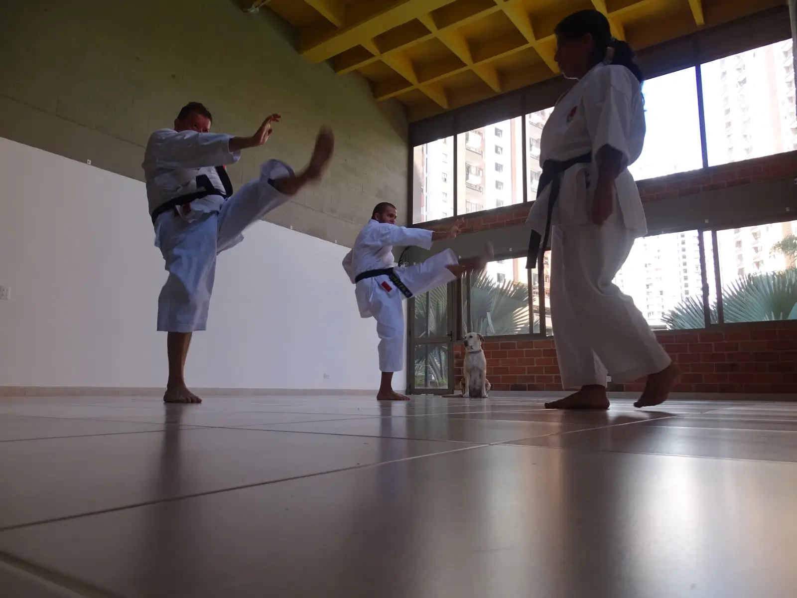 Defensa personal karate (1)
