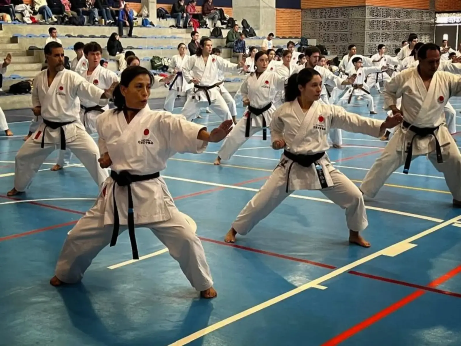 salud fisica y mental karate (1)